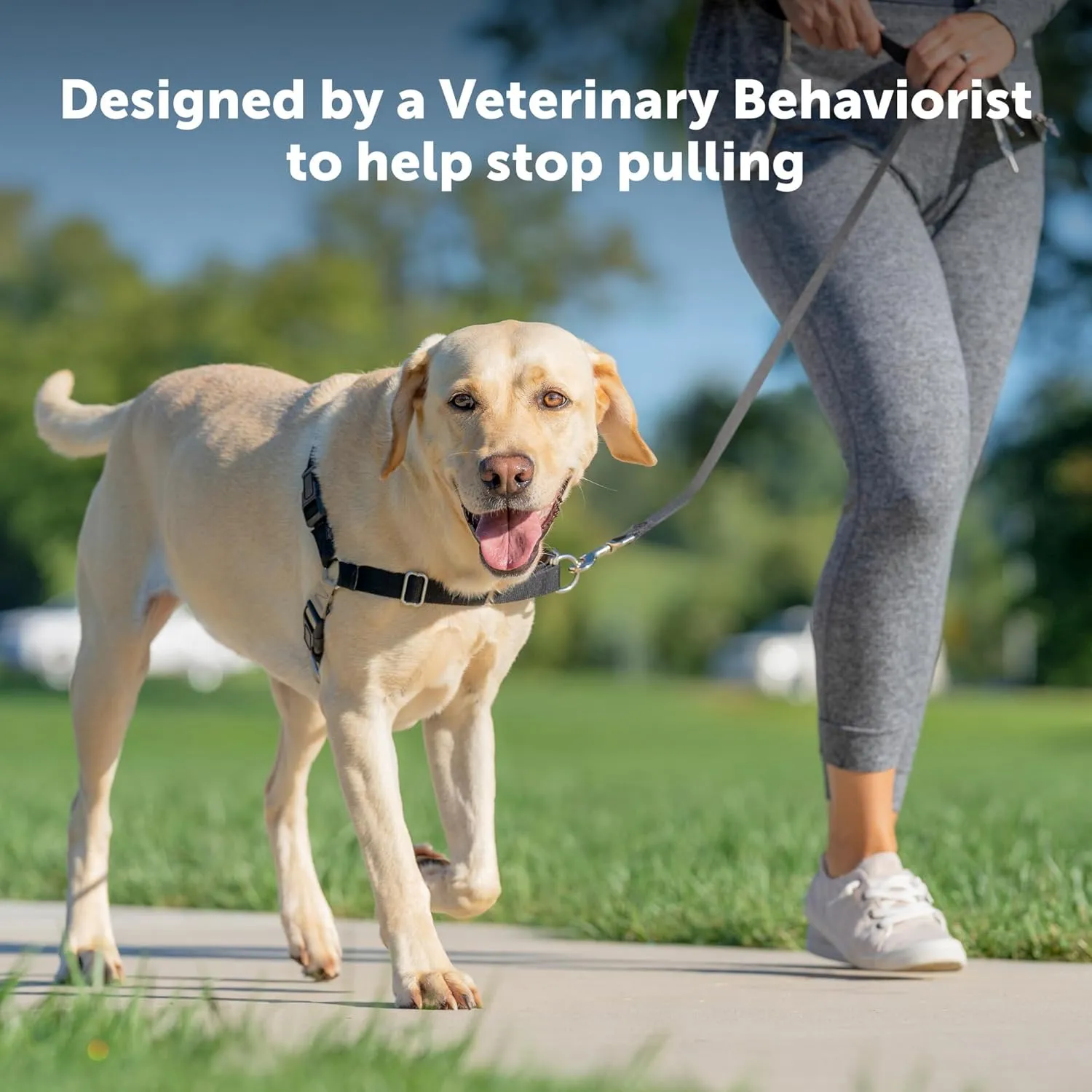 PetSafe Easy Walk No-Pull Dog Harness - The Ultimate Harness to Help Stop Pulling - Take Control & Teach Better Leash Manners - Helps Prevent Pets Pulling on Walks, Large, Royal Blue/Navy Blue