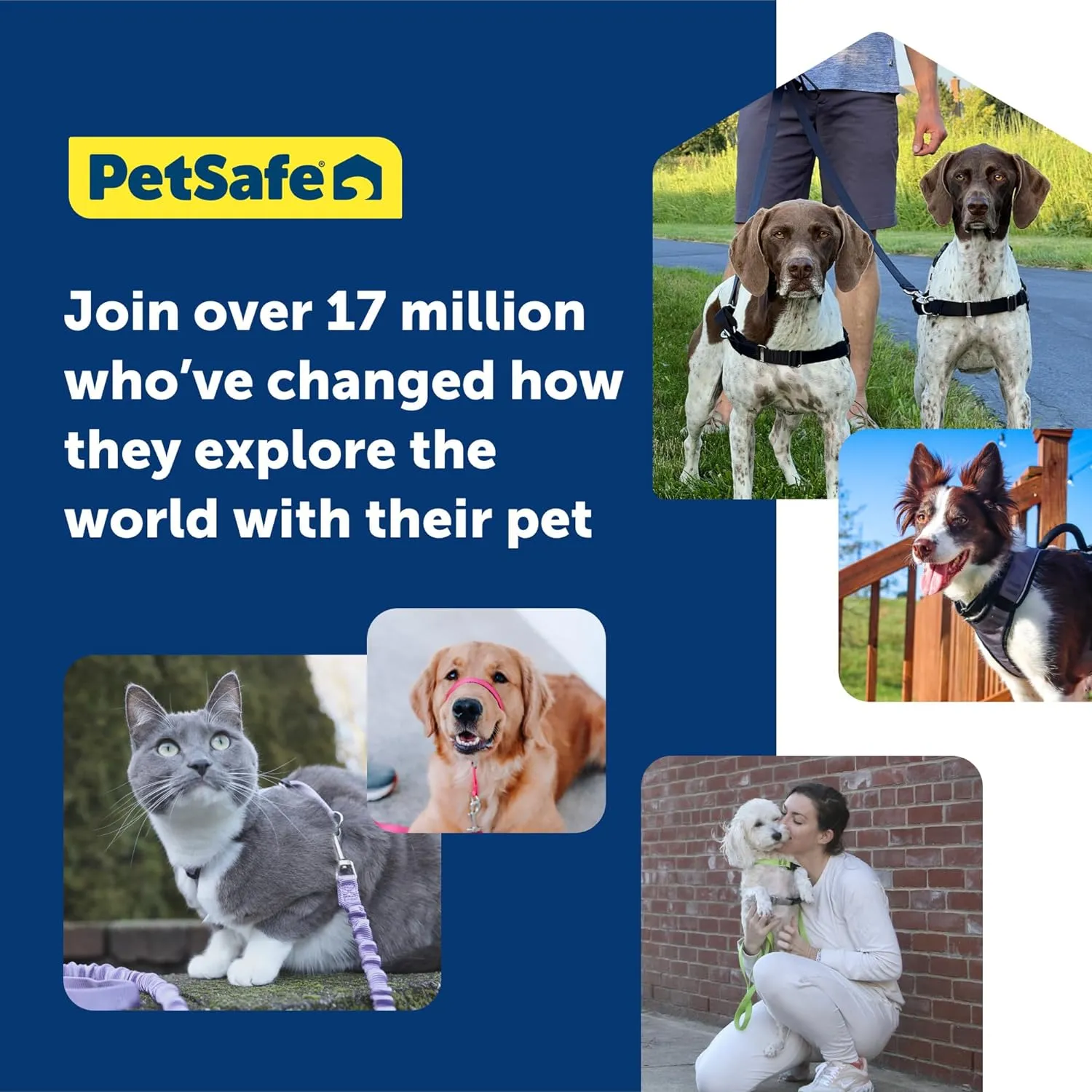 PetSafe Easy Walk No-Pull Dog Harness - The Ultimate Harness to Help Stop Pulling - Take Control & Teach Better Leash Manners - Helps Prevent Pets Pulling on Walks, Large, Royal Blue/Navy Blue