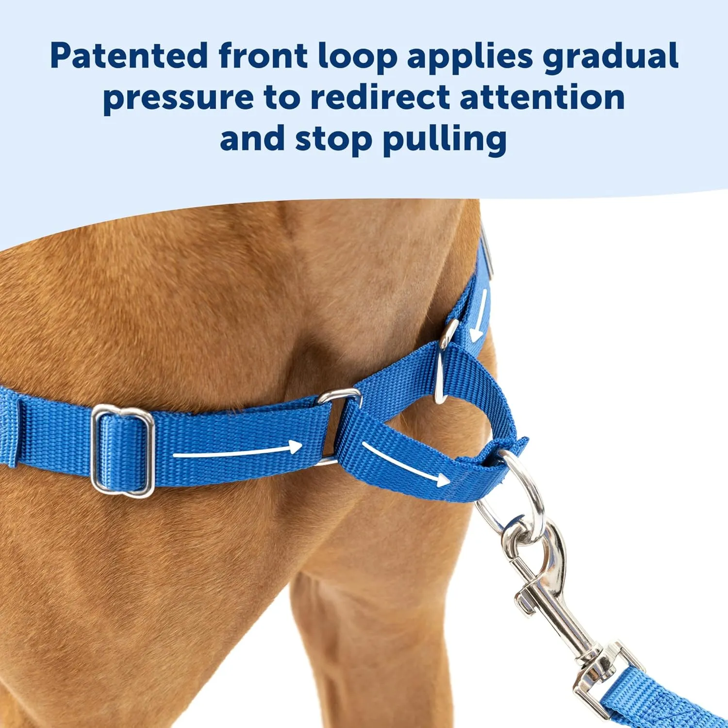 PetSafe Easy Walk No-Pull Dog Harness - The Ultimate Harness to Help Stop Pulling - Take Control & Teach Better Leash Manners - Helps Prevent Pets Pulling on Walks, Large, Royal Blue/Navy Blue