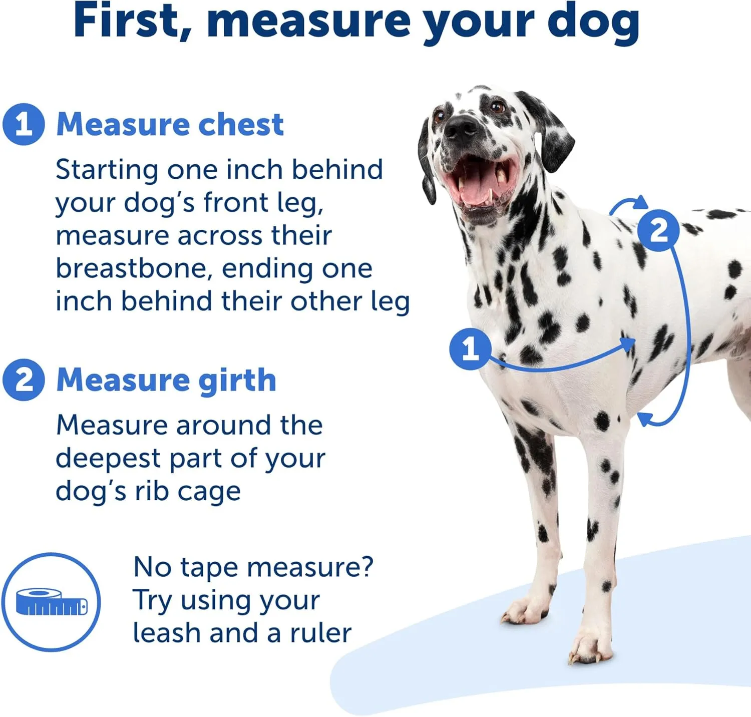 PetSafe Easy Walk No-Pull Dog Harness - The Ultimate Harness to Help Stop Pulling - Take Control & Teach Better Leash Manners - Helps Prevent Pets Pulling on Walks, Large, Royal Blue/Navy Blue