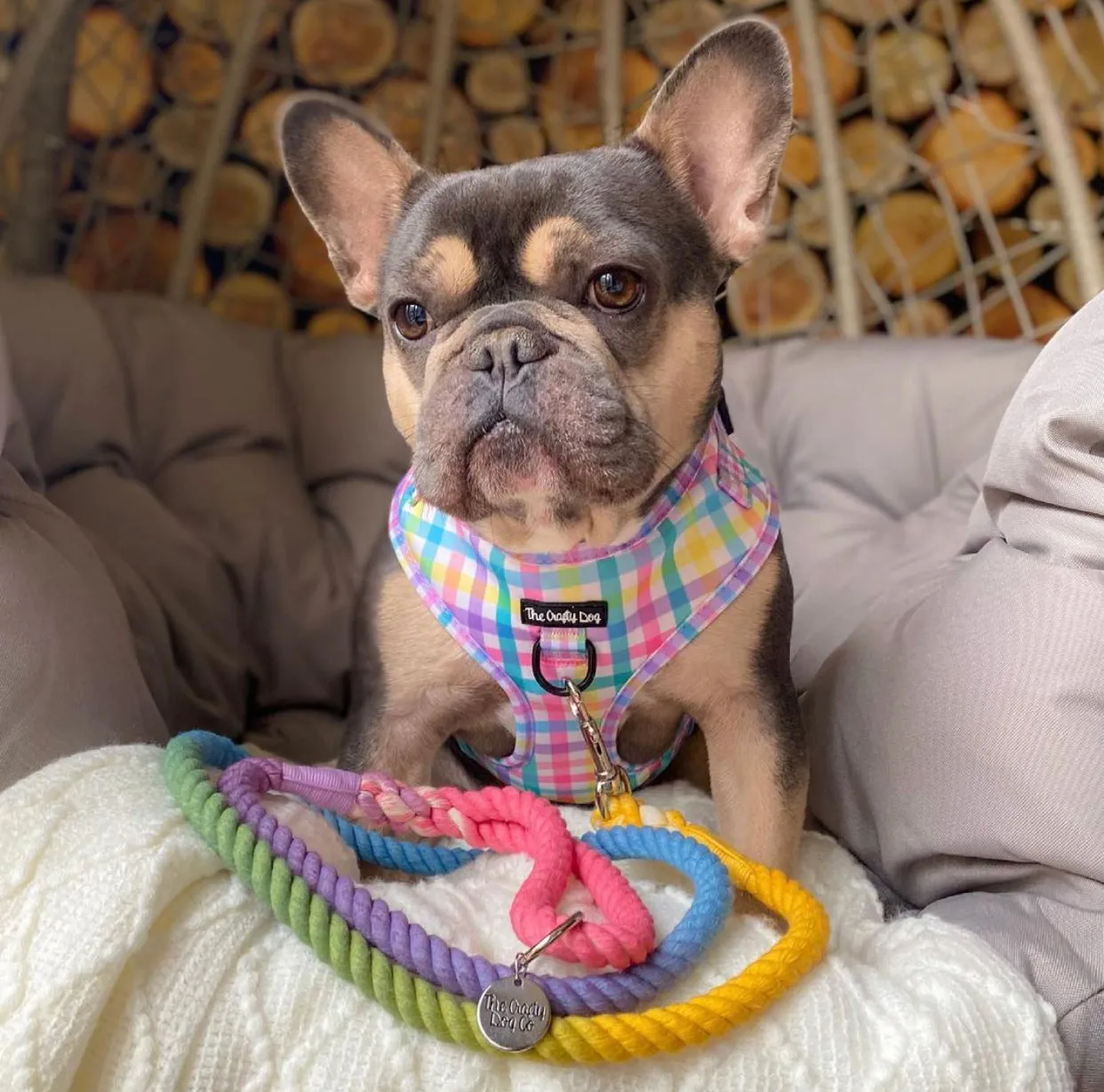 Picnic Plaid Harness