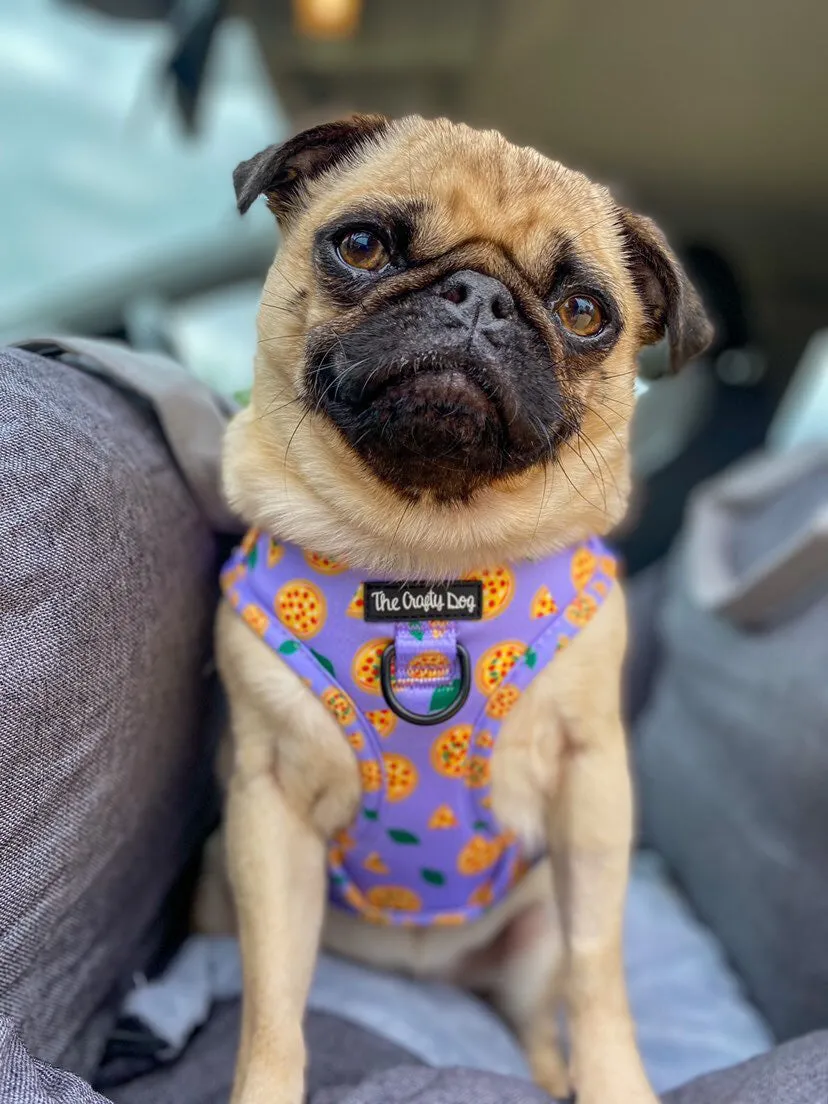 Pizza My Heart Harness