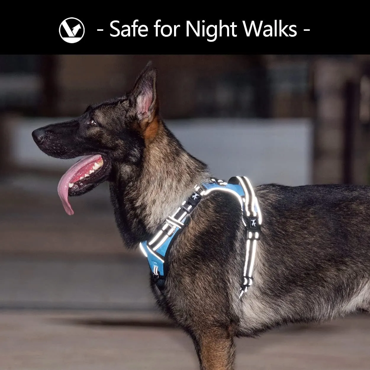 PoyPet 2019 Upgraded No Pull Dog Harness with 4 Snap Buckles, 3M Reflective with Front & Back 2 Leash Hooks and an Easy Control Handle [NO Need Go Over Dog’s Head] (Blue,L)