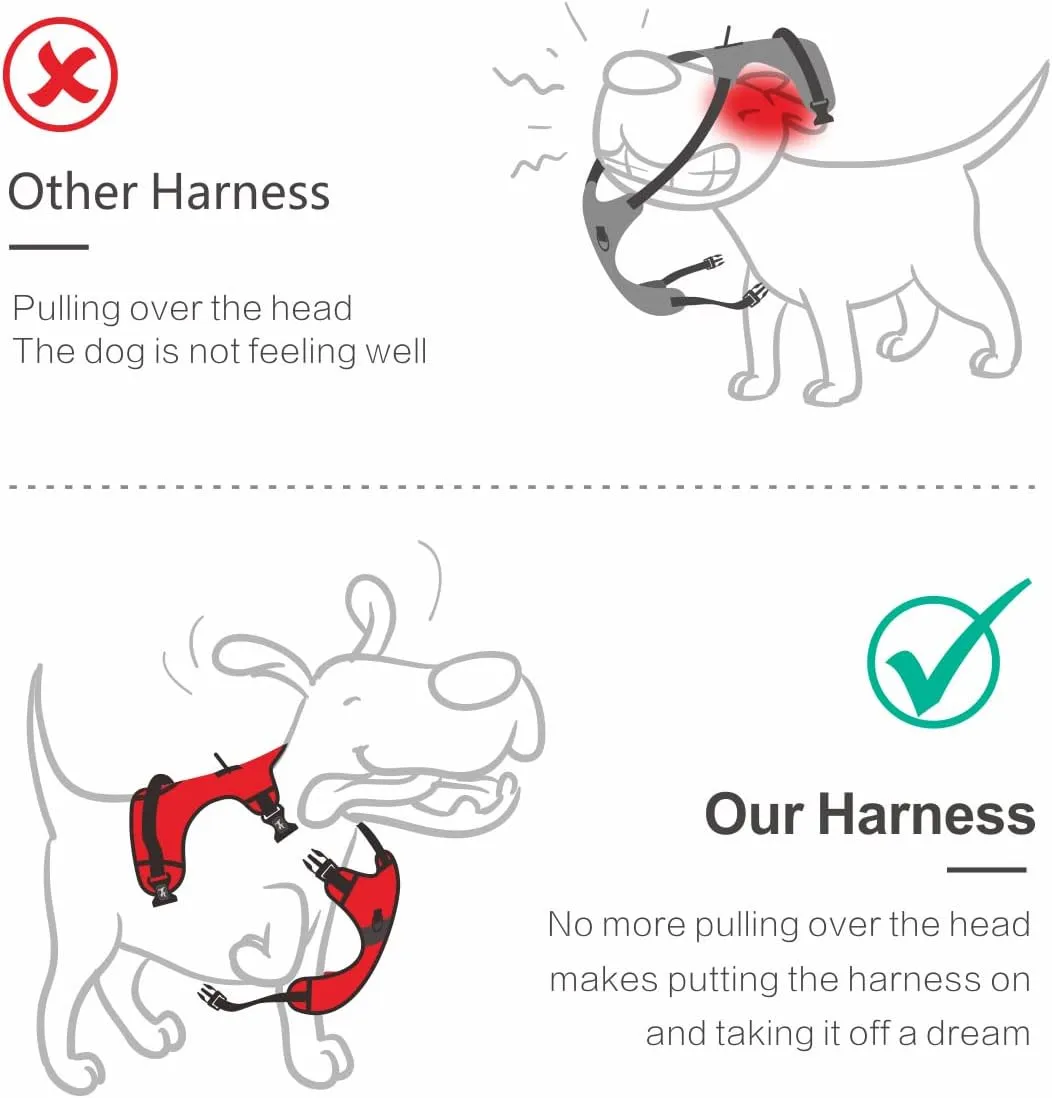 PoyPet 2019 Upgraded No Pull Dog Harness with 4 Snap Buckles, 3M Reflective with Front & Back 2 Leash Hooks and an Easy Control Handle [NO Need Go Over Dog’s Head] (Blue,L)