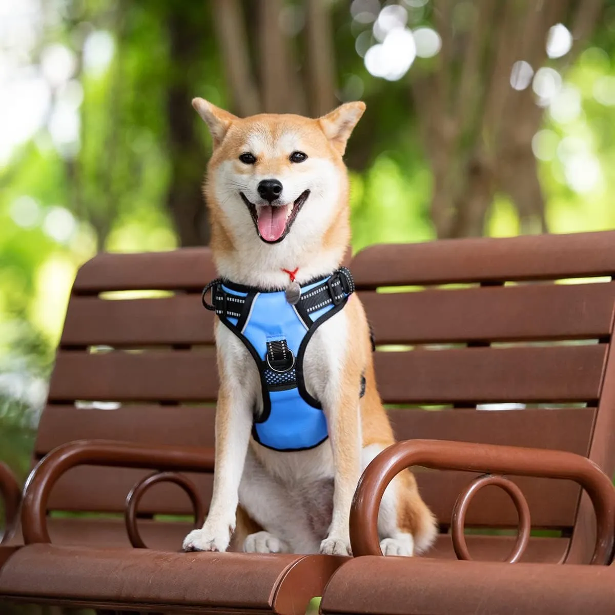 PoyPet 2019 Upgraded No Pull Dog Harness with 4 Snap Buckles, 3M Reflective with Front & Back 2 Leash Hooks and an Easy Control Handle [NO Need Go Over Dog’s Head] (Blue,L)