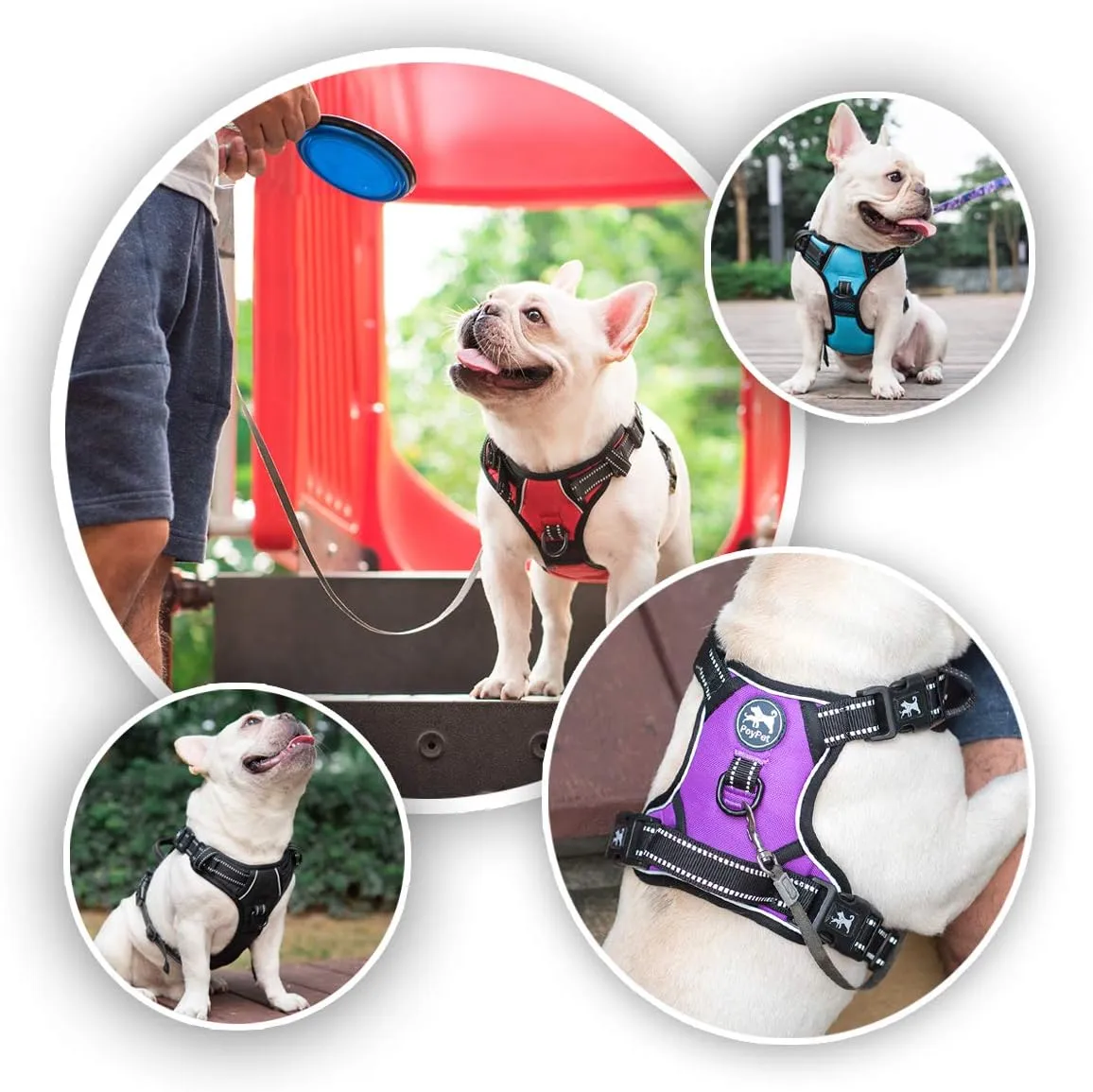 PoyPet 2019 Upgraded No Pull Dog Harness with 4 Snap Buckles, 3M Reflective with Front & Back 2 Leash Hooks and an Easy Control Handle [NO Need Go Over Dog’s Head] (Blue,L)