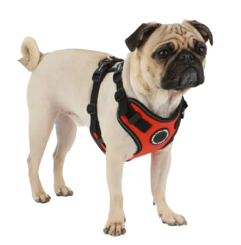Puppia Trek Safety Harness Orange
