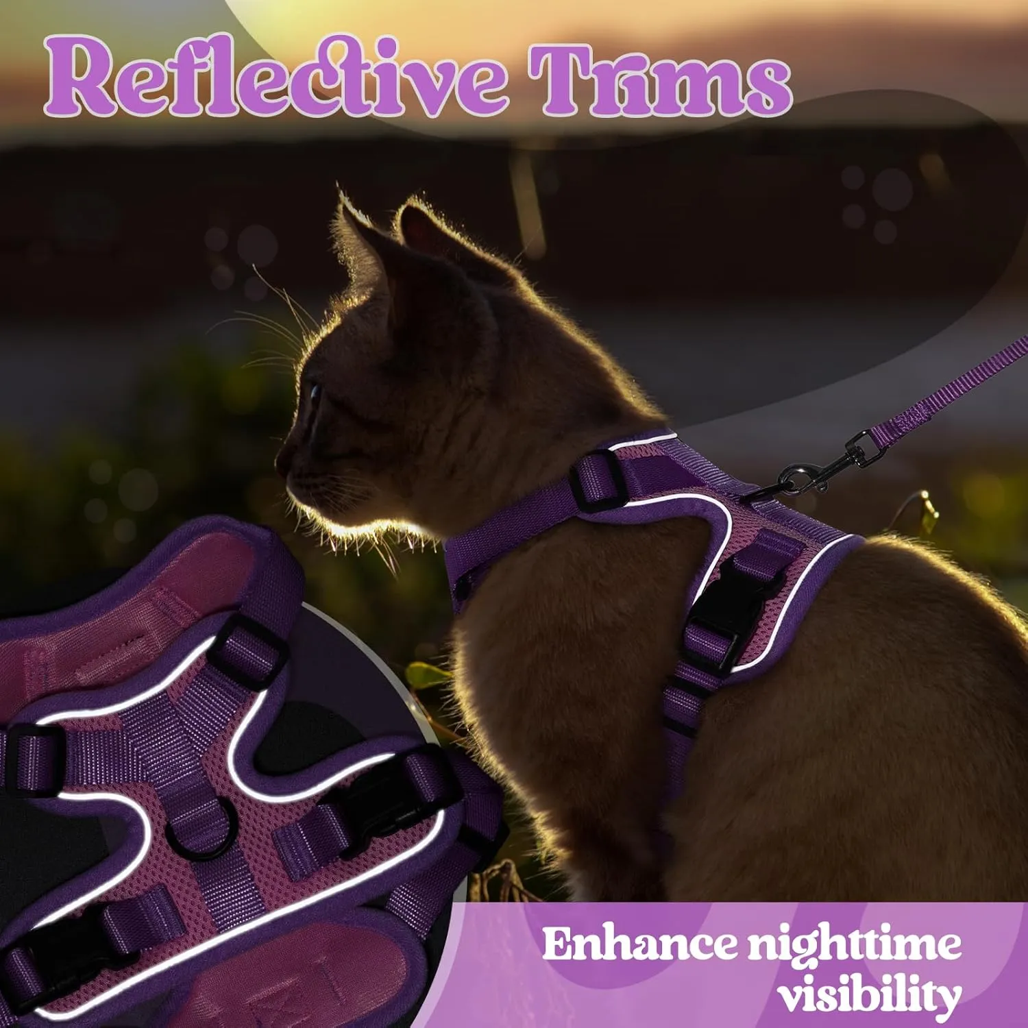 rabbitgoo Cat Harness and Leash Set, Escape Proof Soft Adjustable Vest Harnesses for Outdoor Walking, Easy Control Breathable Kitten Jacket with Reflective Strips, Pink & Purple, M