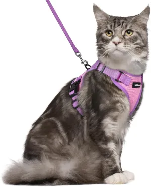 rabbitgoo Cat Harness and Leash Set, Escape Proof Soft Adjustable Vest Harnesses for Outdoor Walking, Easy Control Breathable Kitten Jacket with Reflective Strips, Pink & Purple, M