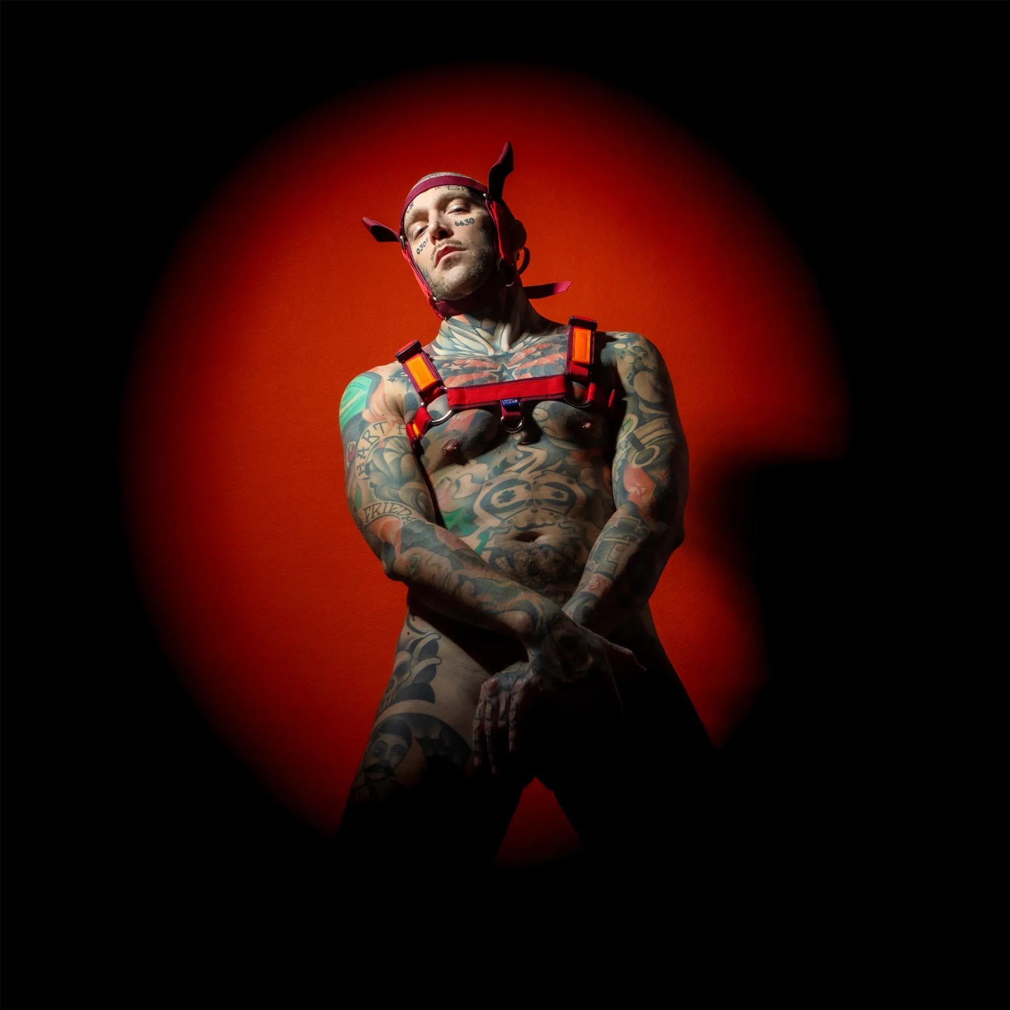 Restraint Sustainable Harness Red