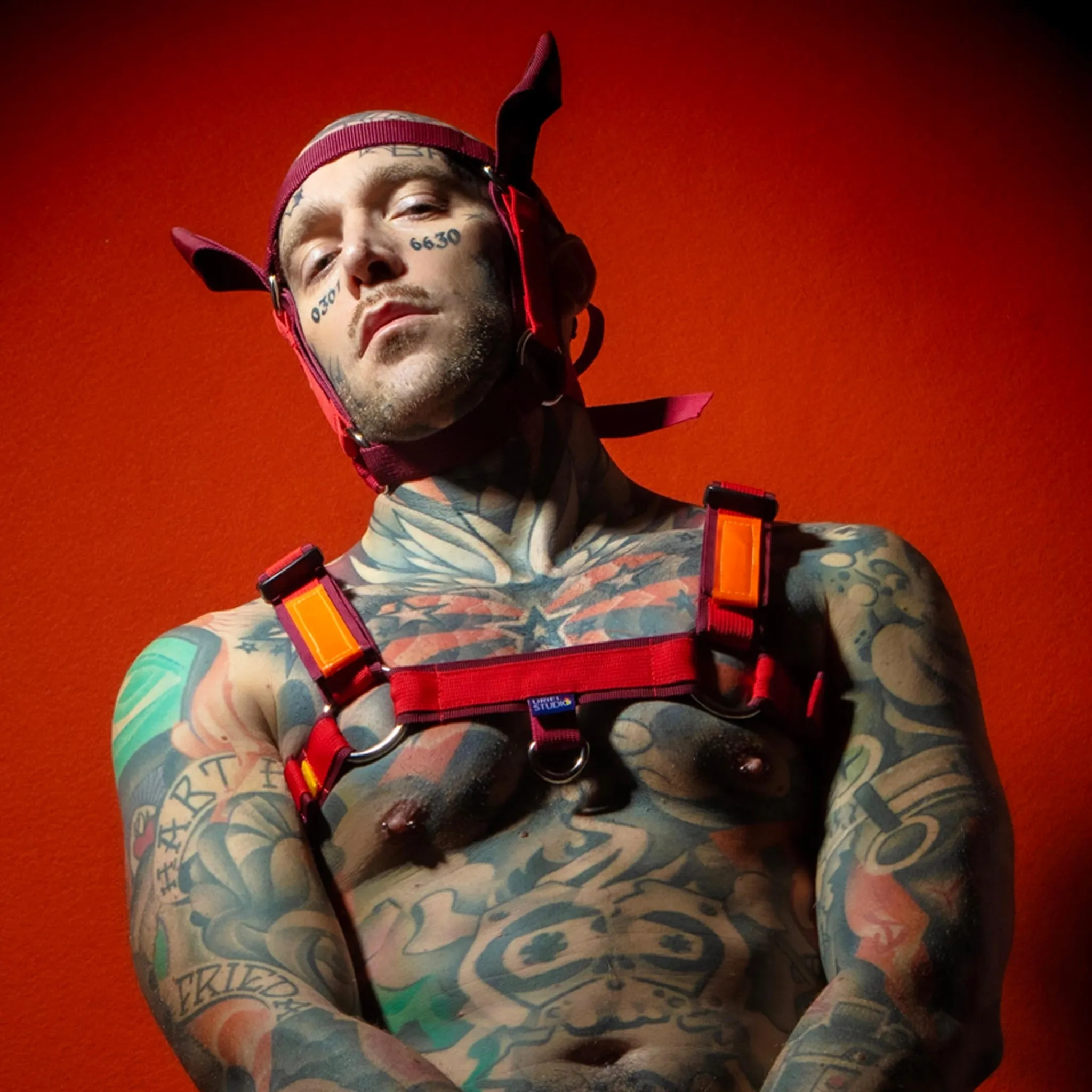 Restraint Sustainable Harness Red