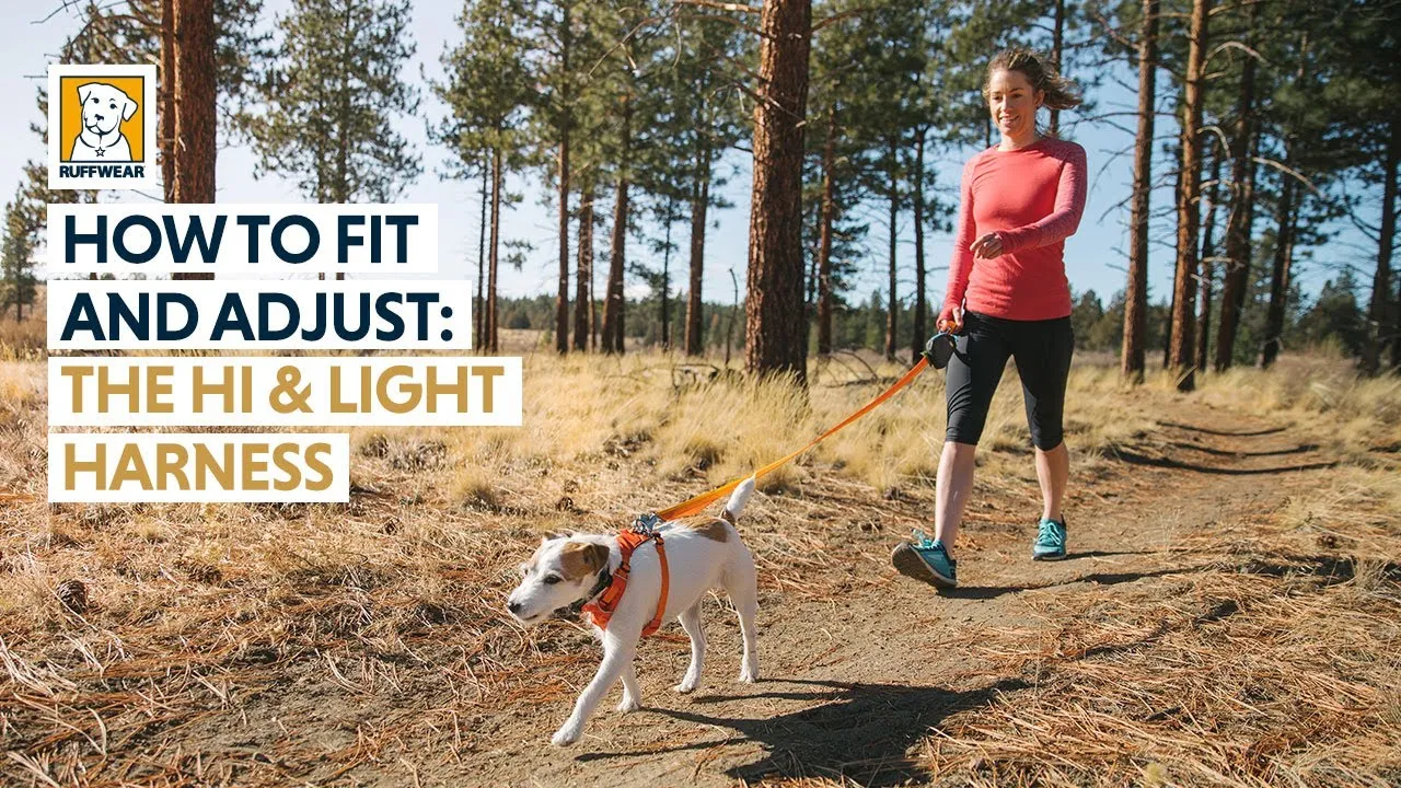 RUFFWEAR Hi & Light™ Lightweight Dog Harness