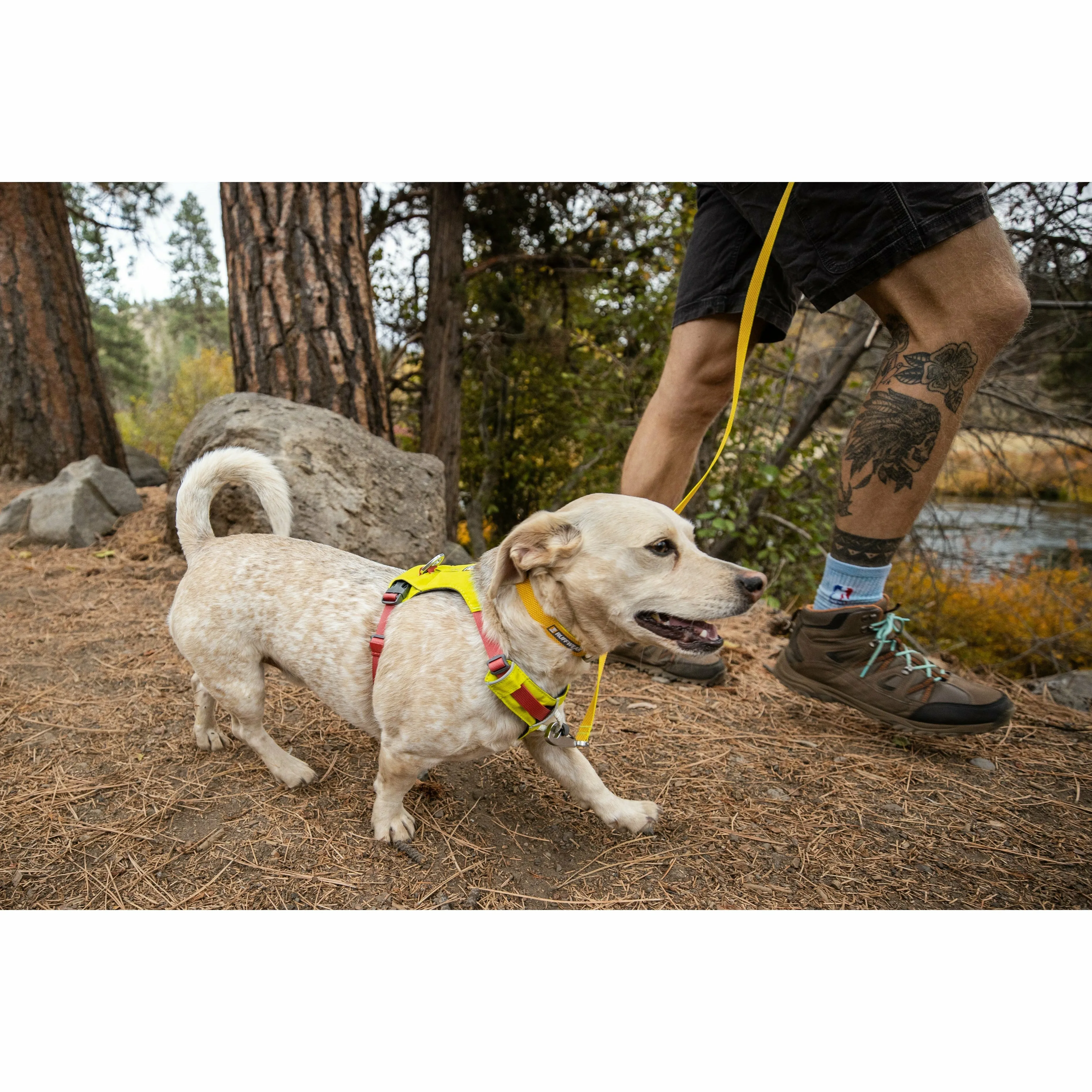 RUFFWEAR Hi & Light™ Lightweight Dog Harness