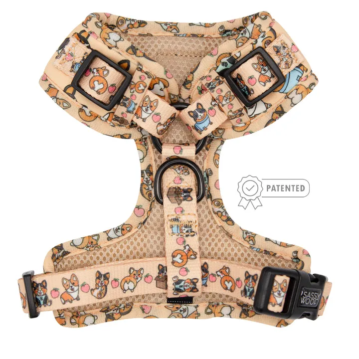 Sassy Woof Adjustable Harness - Corgilicious