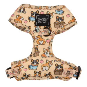 Sassy Woof Adjustable Harness - Corgilicious