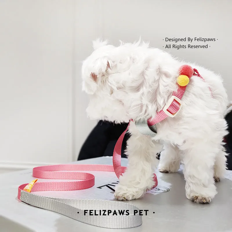 Small Breed Harness Set with Leash
