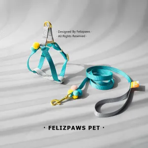 Small Breed Harness Set with Leash