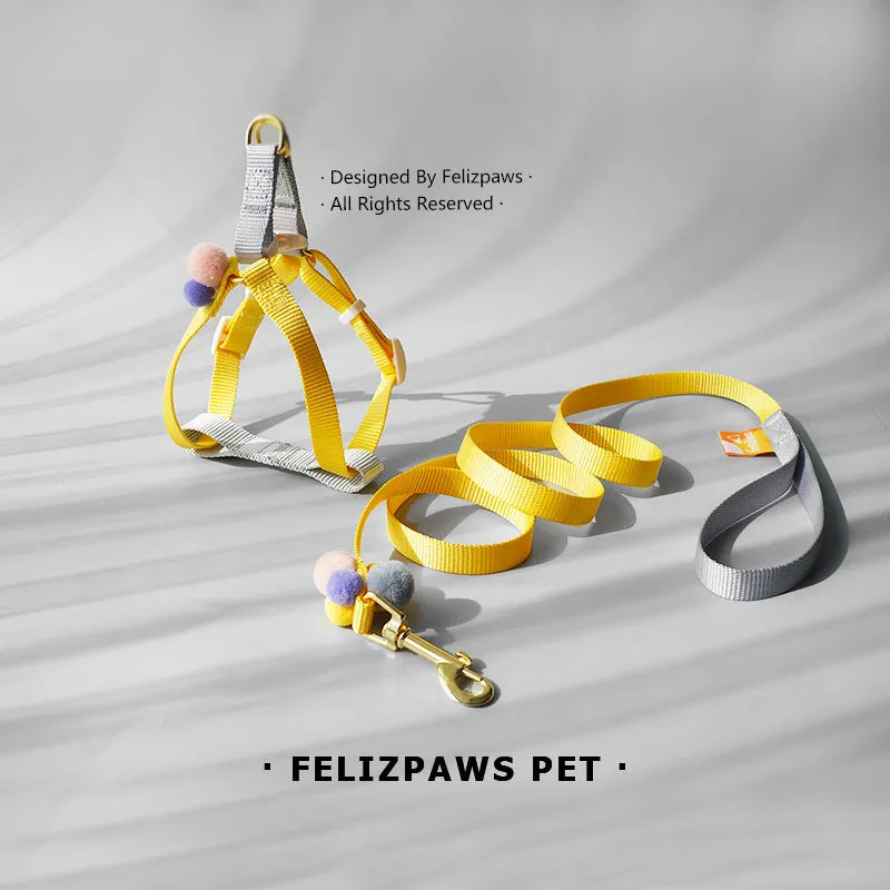 Small Breed Harness Set with Leash