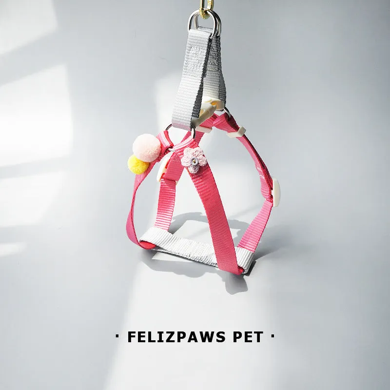 Small Breed Harness Set with Leash
