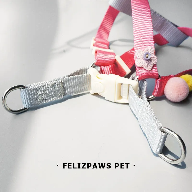 Small Breed Harness Set with Leash