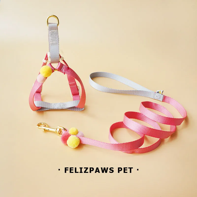 Small Breed Harness Set with Leash