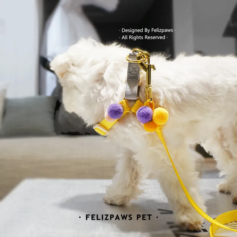 Small Breed Harness Set with Leash