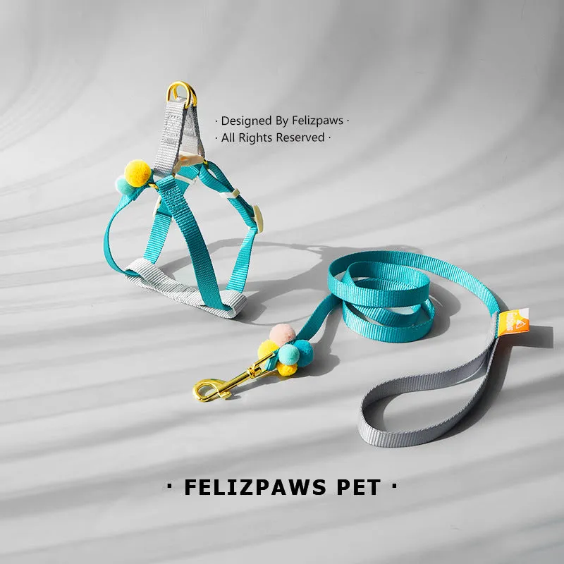 Small Breed Harness Set with Leash