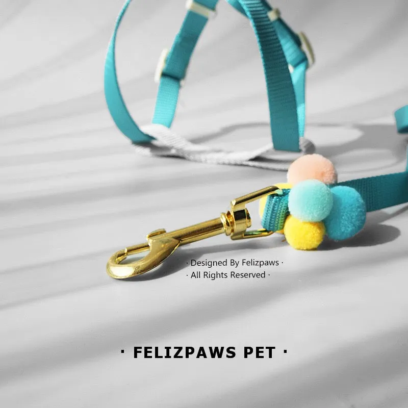 Small Breed Harness Set with Leash