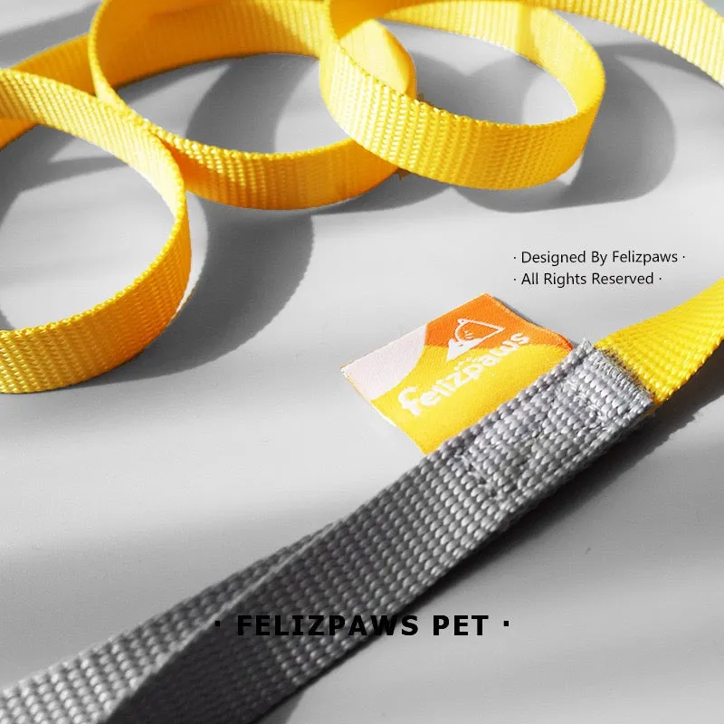 Small Breed Harness Set with Leash