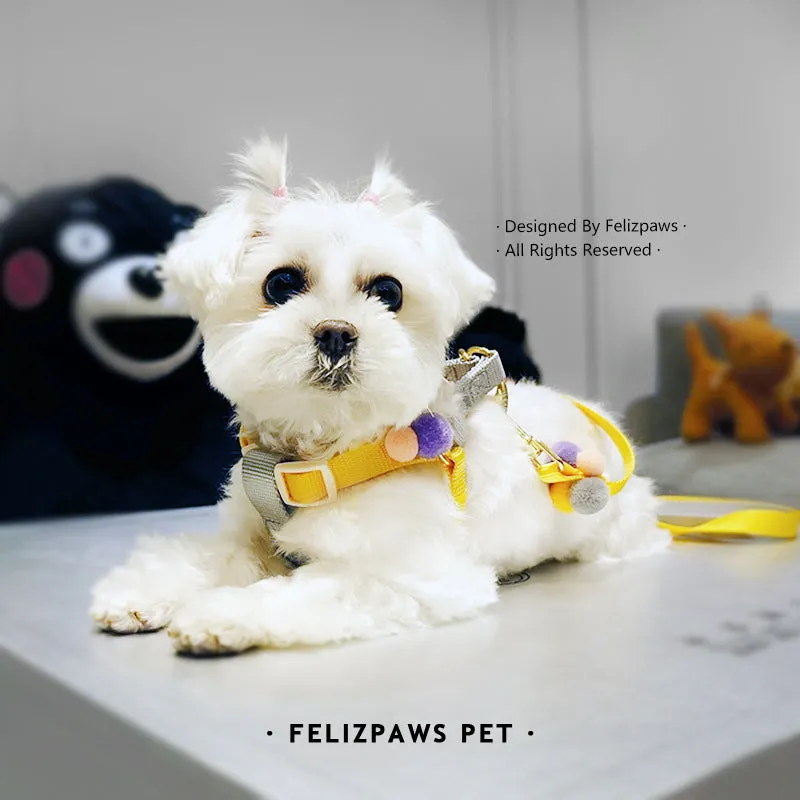 Small Breed Harness Set with Leash