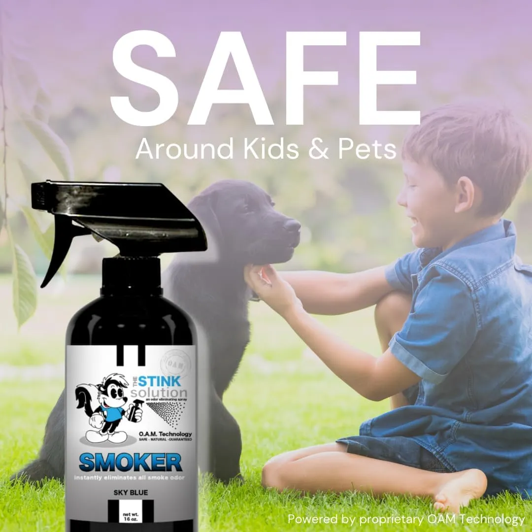 Smoke Odor Eliminator Spray - Completely Remove Smoke Smell From House, Car, Clothes, Hands, Hair, & More - Best Odor Eliminator For Smoke - Bamboo Teak Fragrance - 2 16 oz Bottles