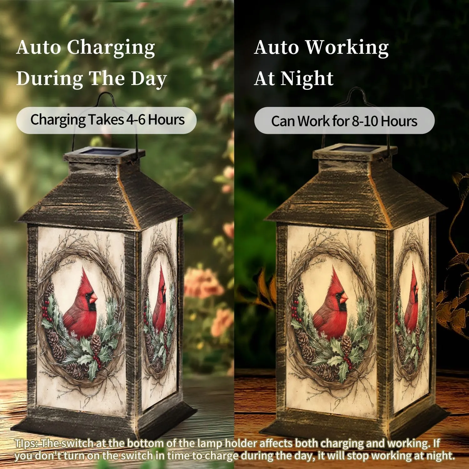 Solar Lantern Painterly Cardinal Crimson Evergreen Timeless Decor Outdoor Waterproof Garden Hanging Lantern Solar Powered Lighting Outside Table Lamp for Patio Deck Camping 1 Pack
