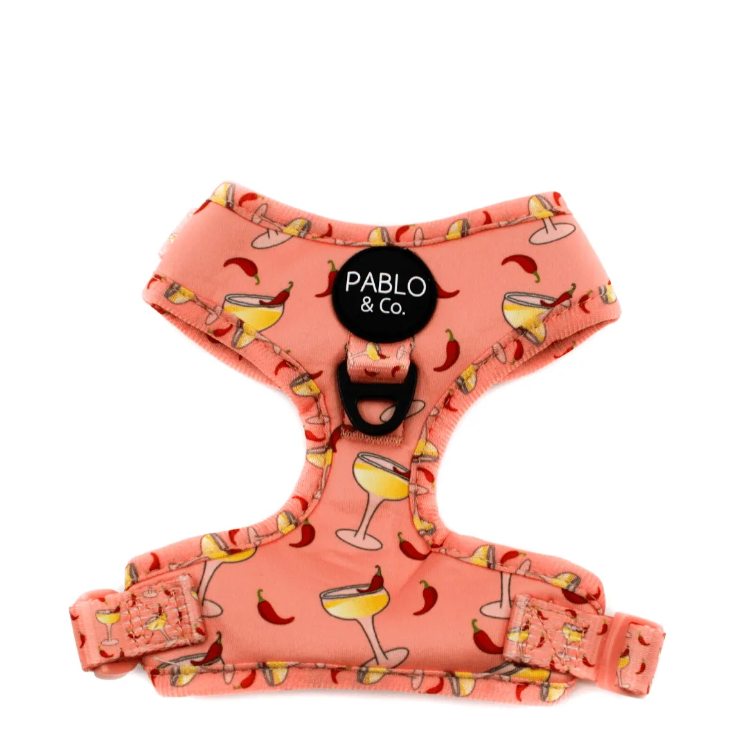 Spicy Margarita Adjustable Harness