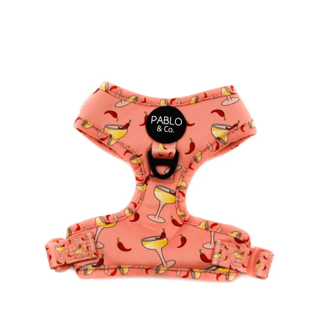 Spicy Margarita Adjustable Harness