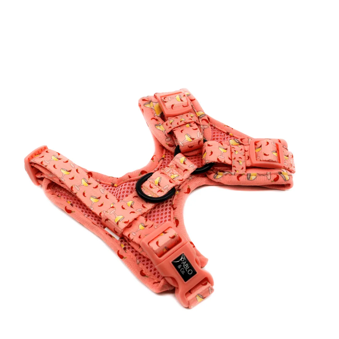 Spicy Margarita Adjustable Harness