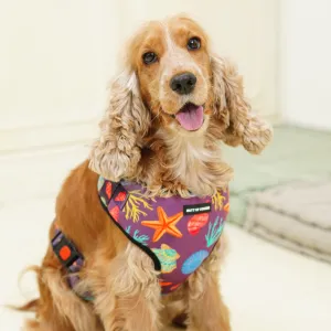 Stars N' Shells Vest Harness