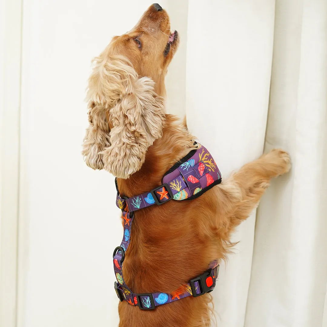 Stars N' Shells Vest Harness