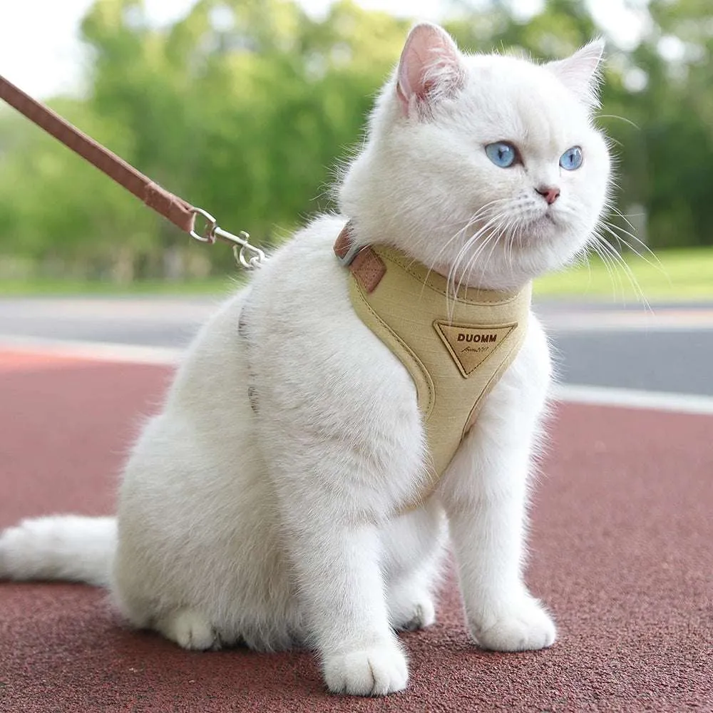 Stylish Pet Harness and Leash Set for Small Dogs and Cats