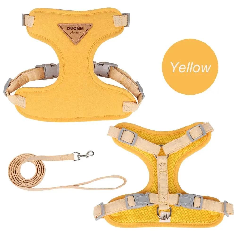 Stylish Pet Harness and Leash Set for Small Dogs and Cats