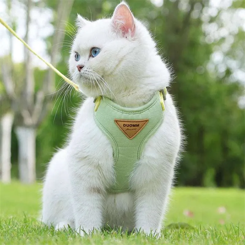 Stylish Pet Harness and Leash Set for Small Dogs and Cats