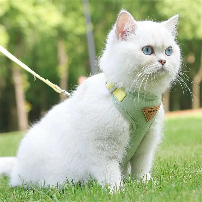 Stylish Pet Harness and Leash Set for Small Dogs and Cats