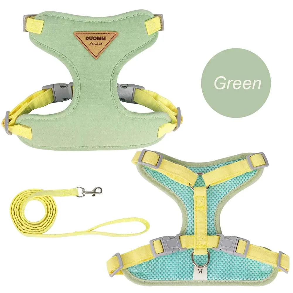 Stylish Pet Harness and Leash Set for Small Dogs and Cats