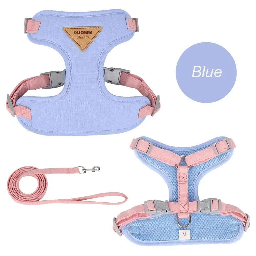 Stylish Pet Harness and Leash Set for Small Dogs and Cats