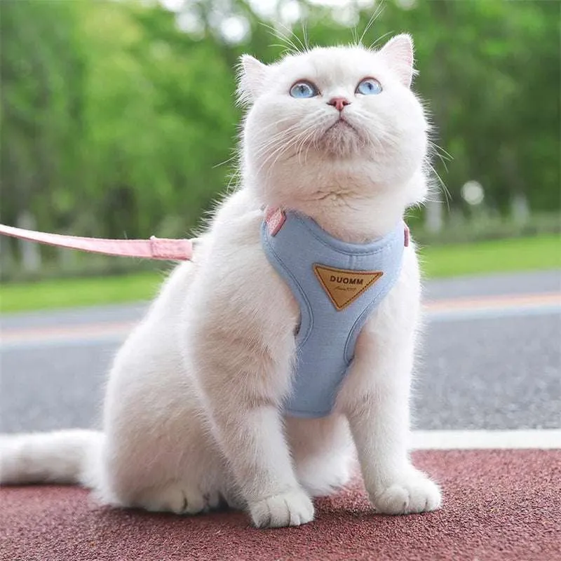 Stylish Pet Harness and Leash Set for Small Dogs and Cats