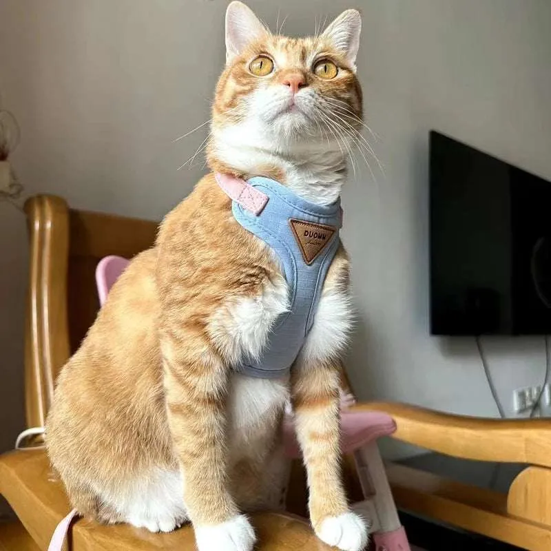 Stylish Pet Harness and Leash Set for Small Dogs and Cats