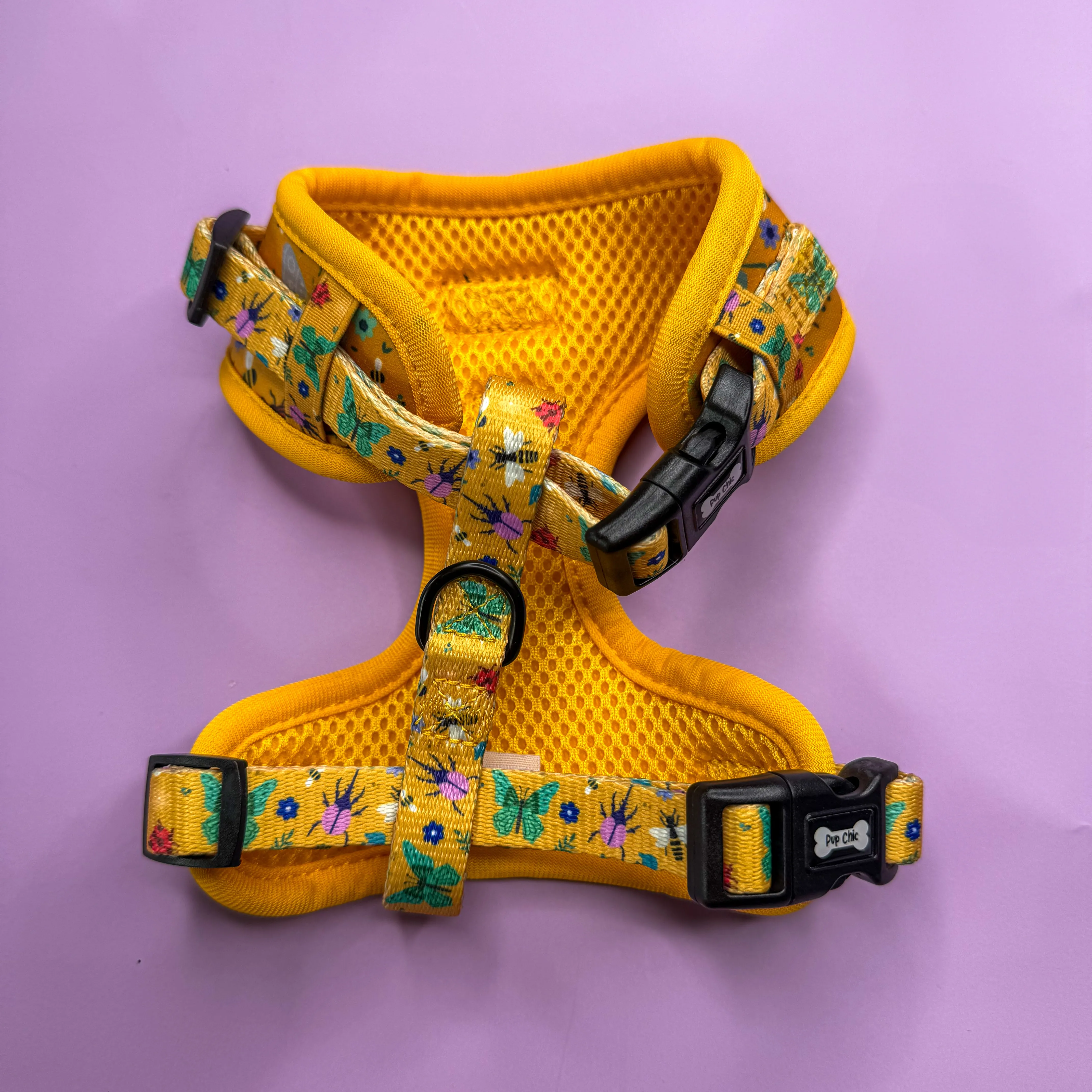 Summer Buzzin’ Step-in Adjustable harness XXS