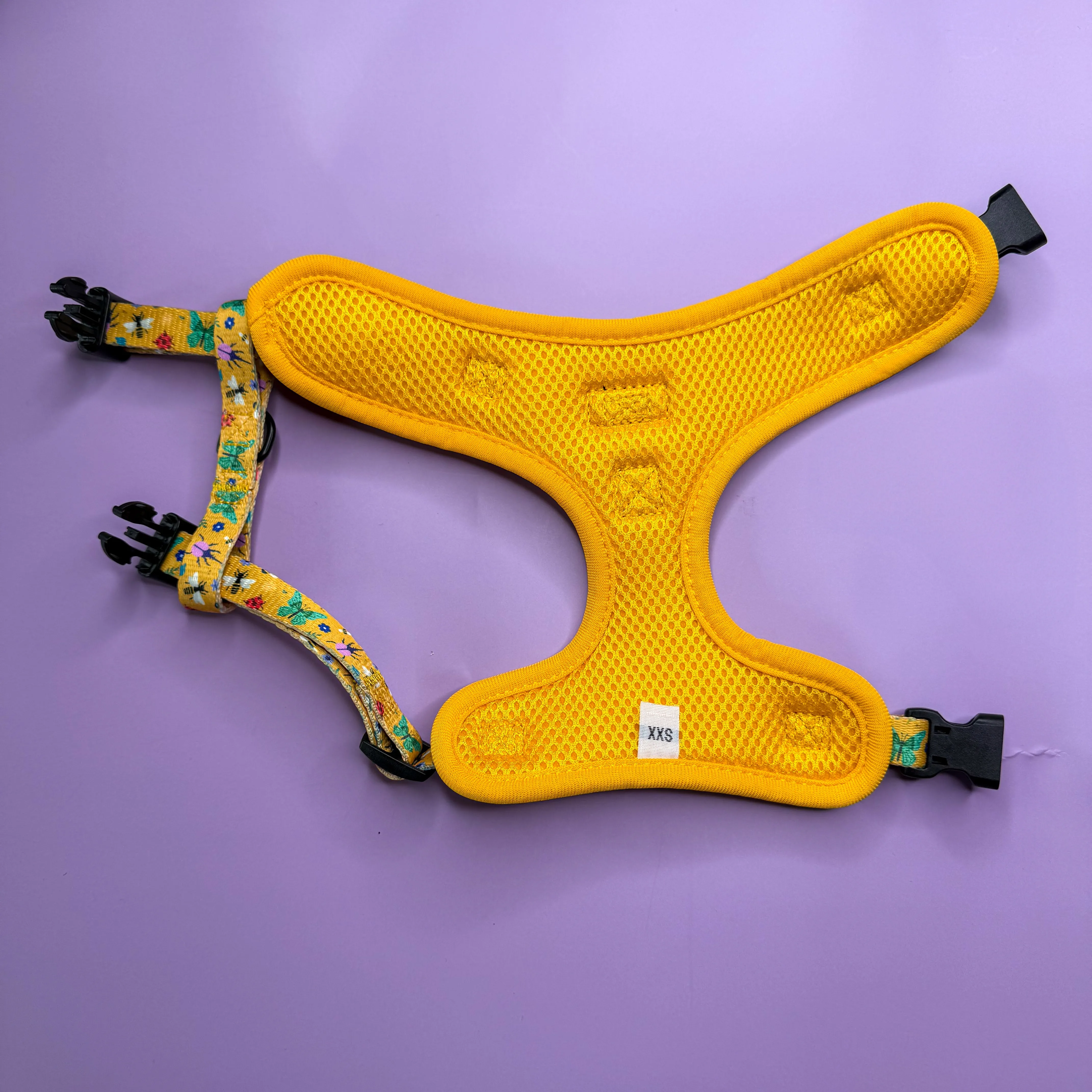 Summer Buzzin’ Step-in Adjustable harness XXS