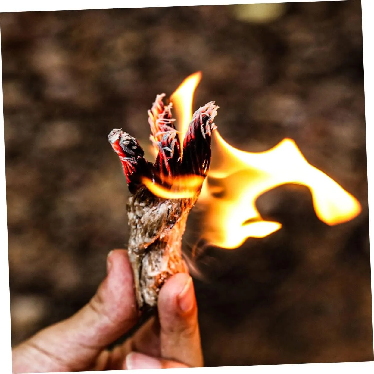 SUPVOX 6 Pcs Outdoor Lighting Rope Survival Fire Fireplace Lighters Fireplace Tools Grill Lighter BBQ Fire