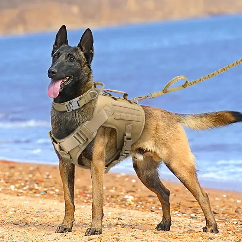 Tactical Canine Comfort Harness