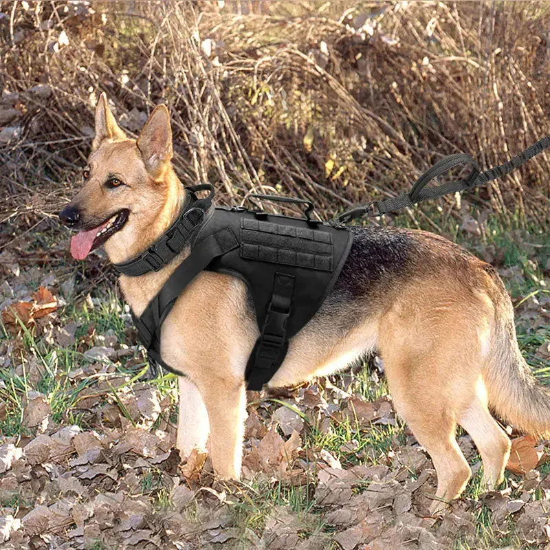 Tactical Canine Comfort Harness